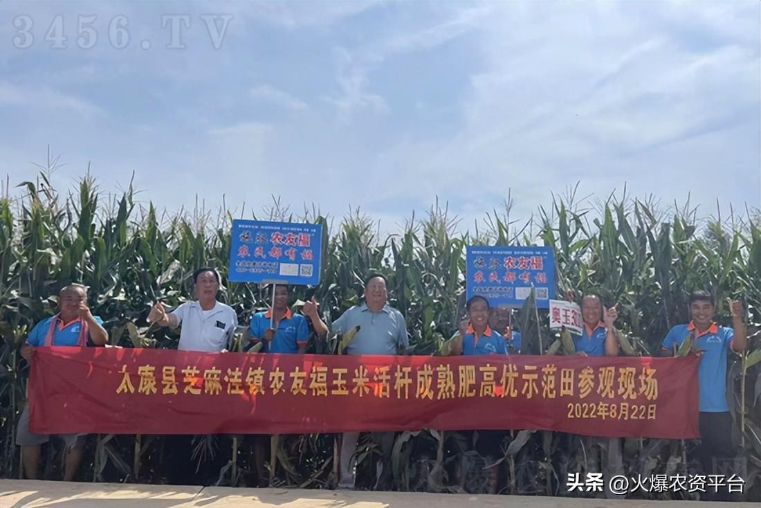 河南农友福肥料发明人李振贤提醒您《小麦如何创高产》